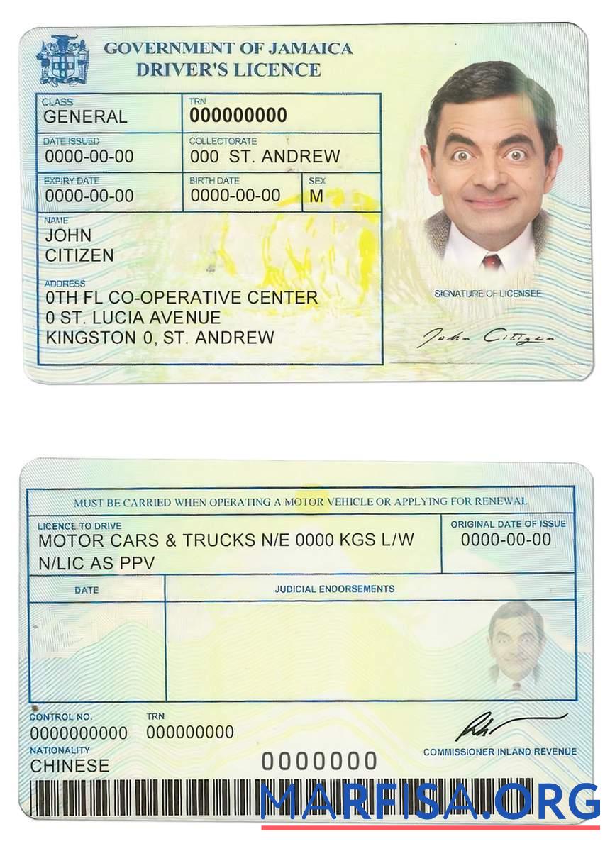 Printable Jamaica driving license template